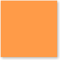 Fluorescent Orange Color Coded Label